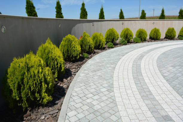 Best Custom Driveway Design and Paving in Twin Grove, IL